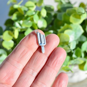 BULK 20  Popsicle  Silver Tone Charms SC1572