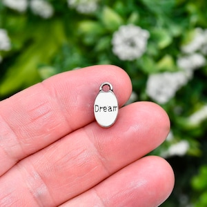 1   DREAM Silver Tone  Charm SC2579