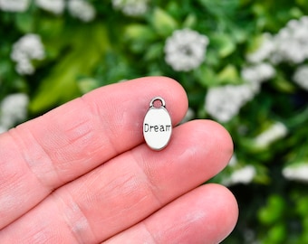 1   DREAM Silver Tone  Charm SC2579