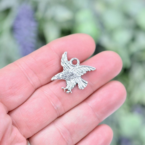 5  Hawk Silver Tone Charms SC1550