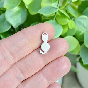 1 Stainless Steel Cat Charm SC6880