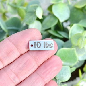 Dije rectangular de acero inoxidable con grabado láser personalizado de Weight Watchers de 10 libras CC131