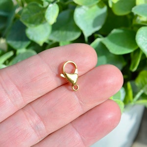 5 Lobster Clasp Gold Plated Stainless Steel  15mm  F227