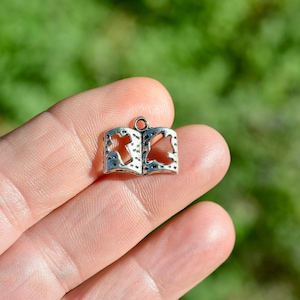 10  Bible Silver Tone  Charms SC3549