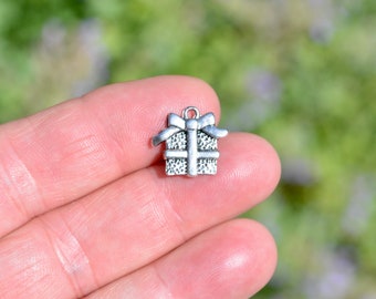 1 Gift Package Silver Tone Charm SC1842