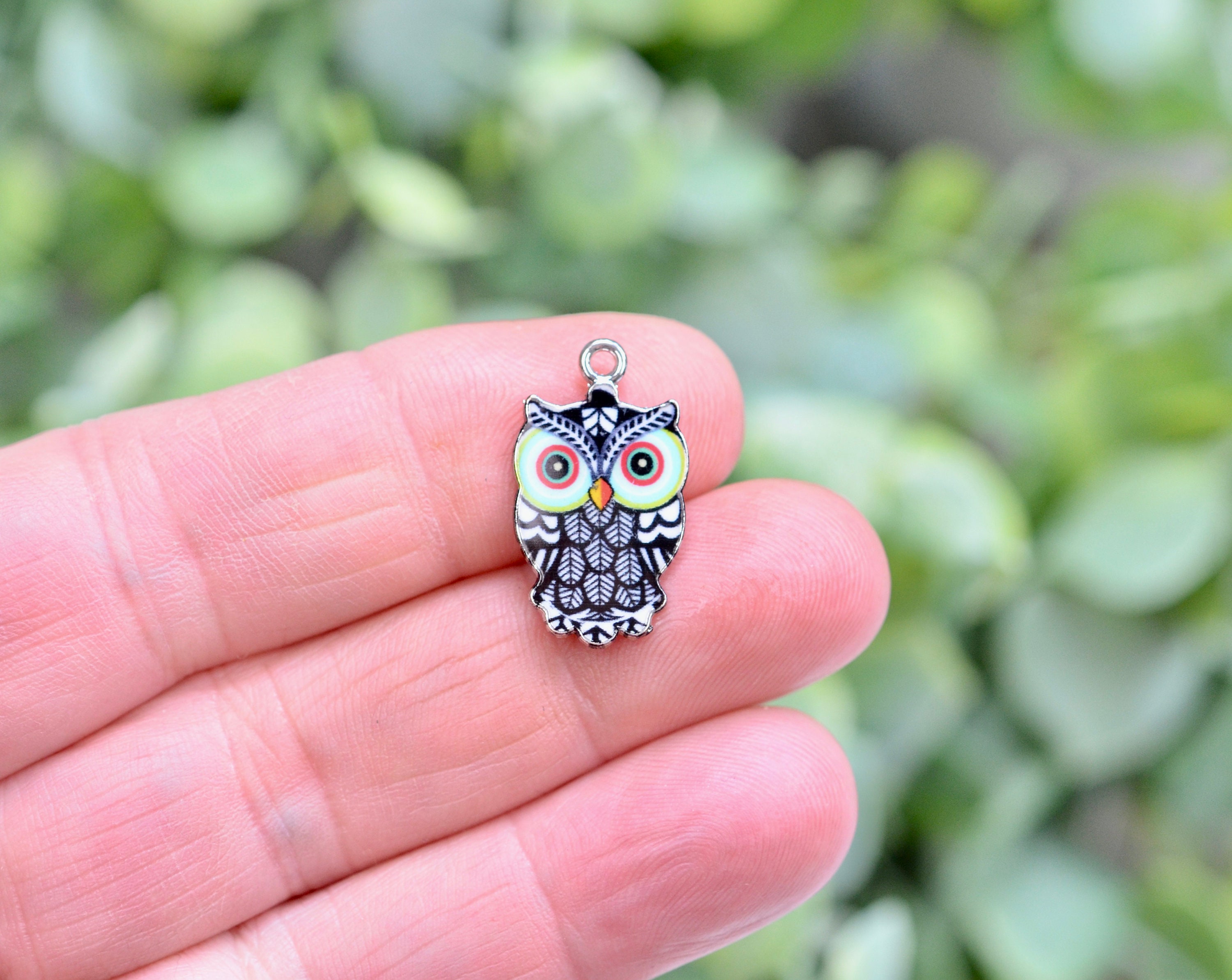 5 Owl Blue and Black Charms SC6032