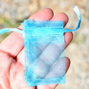 May include: A light blue organza gift bag with a drawstring closure. The bag is made of sheer fabric and is perfect for small gifts or favors.
