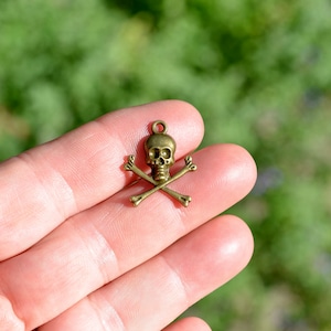 May include: A small, antique brass-coloured skull and crossbones charm. The skull has detailed features, and the crossbones are crossed beneath it. The charm has a small loop at the top for attaching to a necklace or bracelet. The background is a blurred green.