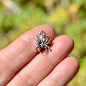 May include: A silver spider charm with a detailed design. The charm is small and has a loop at the top for attaching to a necklace or bracelet.