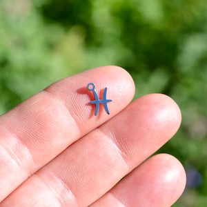 1 Pisces Zodiac Stainless Steel  Charm SC5092