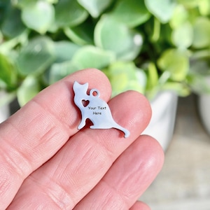 Stainless Steel  Cat Custom Laser Engraved Charm EB92E