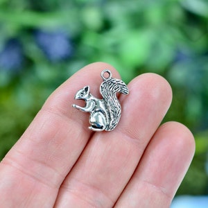 5 Squirrel Silver Tone  Charms SC1315