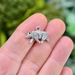 BULK 20 Badger Double Sided Silver Tone Charms SC3016
