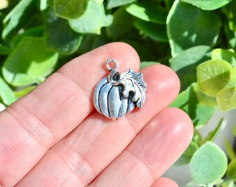 May include: A small, silver-colored pumpkin charm with a detailed leaf design. The charm has a loop at the top for attaching to jewelry or other crafts. The pumpkin has vertical lines and a textured surface.