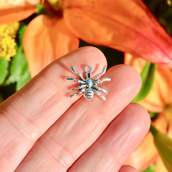10  Spider Silver Tone Charms SC6871