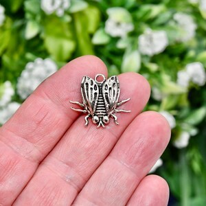 May include: Silver charm in the shape of a cicada insect with detailed wings and legs.