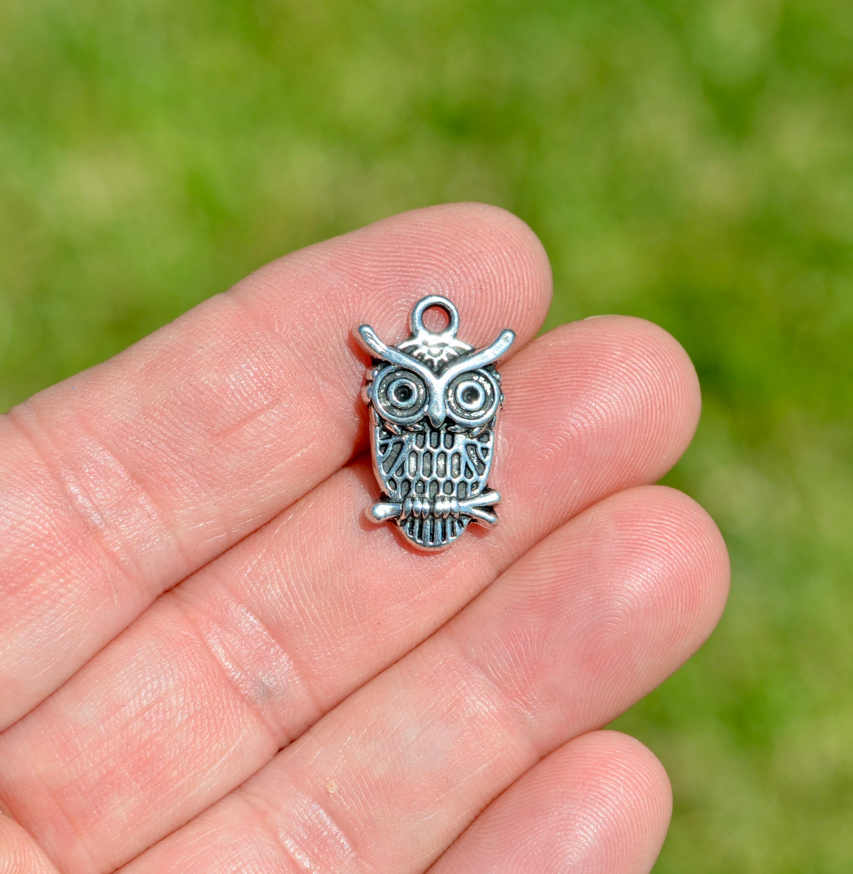 10 Owl Silver Tone Charms SC6828