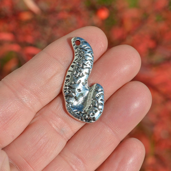 BULK 20 Anatomically Correct  Silver Pancreas Charm SC5139