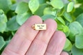 Personalized Stainless Steel 13.5mm Gold Plated Charm, Laser Engraved, Choose Your Font and Quantity Options Small Rectangle Charm EB186E