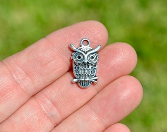 BULK 50   Owl Silver Tone Charms SC6828