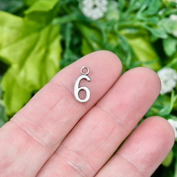 5 Number 6 Silver Tone Charms SC6948