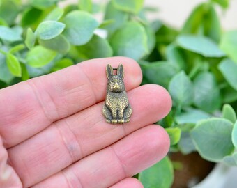 May include: A small, antique brass-colored bunny charm. The bunny is in a seated position with detailed fur texture and a loop at the top for attaching to a necklace or bracelet. The charm is held in a person's hand against a backdrop of green foliage.