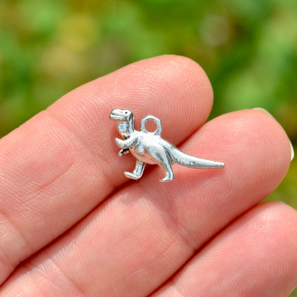 1  Dinosaur Silver Tone Charm SC6502