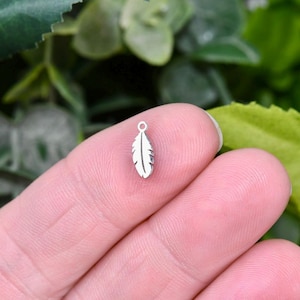 May include: A silver charm in the shape of a feather. The charm is small and delicate, and would be perfect for adding to a necklace or bracelet.