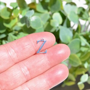 1 Stainless Steel Zeta Greek Letter  Charm SC7002