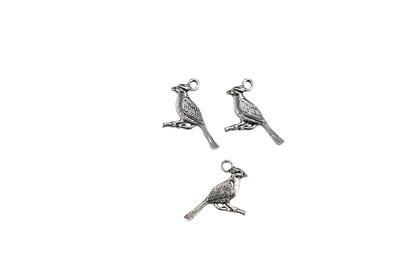 K&ouml;nnte beinhalten: Drei silberfarbene Vogel-Anh&auml;nger aus Metall mit einer &Ouml;se zum Aufh&auml;ngen. Die V&ouml;gel befinden sich in einer Sitzposition mit ausgebreiteten Fl&uuml;geln.