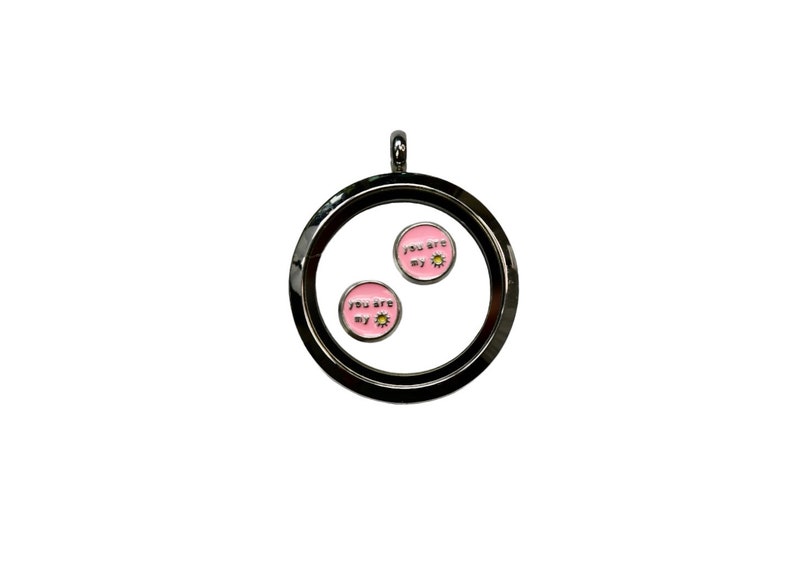 1 Memory Locket Pink You are My Sunshine Charms FL154 image 1