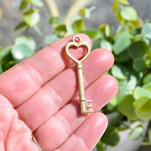 1 Heart Skeleton  Key Bronze Tone Charm BC2032