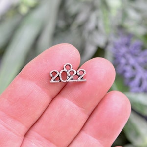 1 Year 2022 Silver Tone Charm SC5912