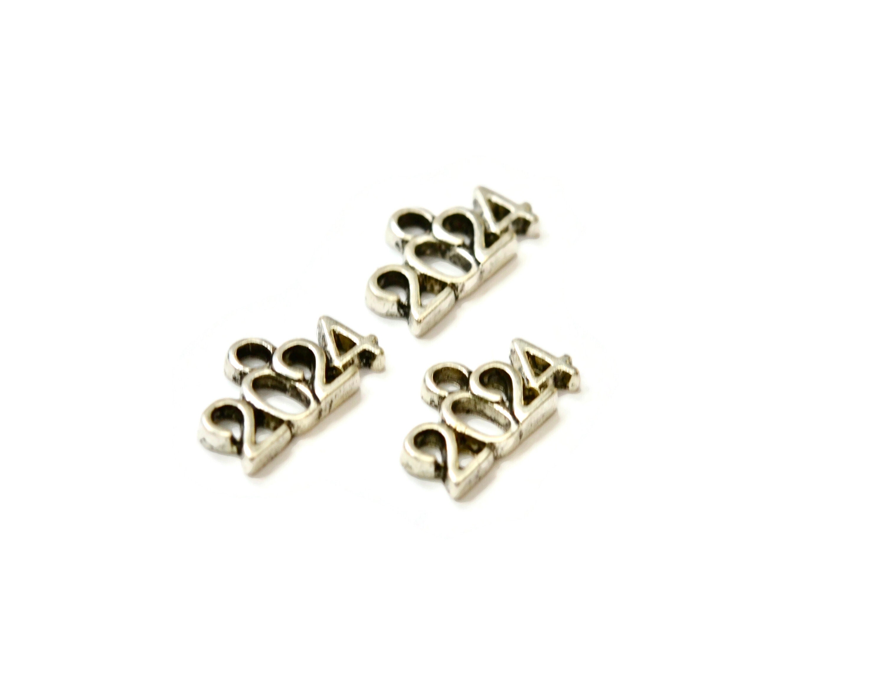 10 Year 2024 Silver Tone Charms SC6151 