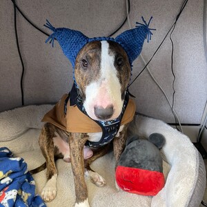 May include: A brown and white bull terrier dog wearing a blue knitted hat with ear flaps and a brown vest. The dog is sitting in a gray dog bed with a red and black plush toy.