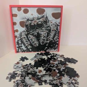 May include: A framed jigsaw puzzle featuring a close-up of a jumping spider with large eyes. The puzzle has a red frame and is accompanied by scattered puzzle pieces. The pieces are black, white, and brown.