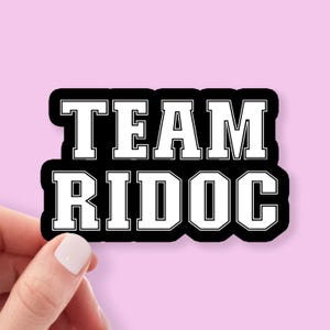 Pegatina del equipo Ridoc, Onyx Storm, Fourth Wing, Iron Flame, pegatina de Bookish, calcomanía para Kindle, Empyrean, regalo para lectores, computadora portátil, resistente a la intemperie