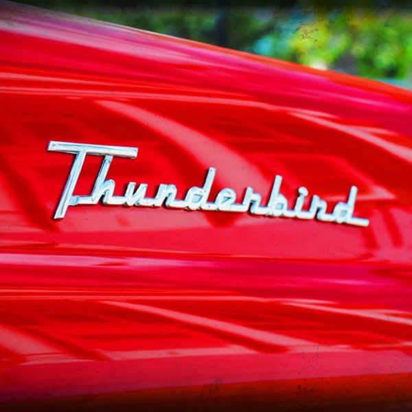 1955 Ford Thunderbird - Classic Car - Garage Art - Pop Art - Fine Art Photograph