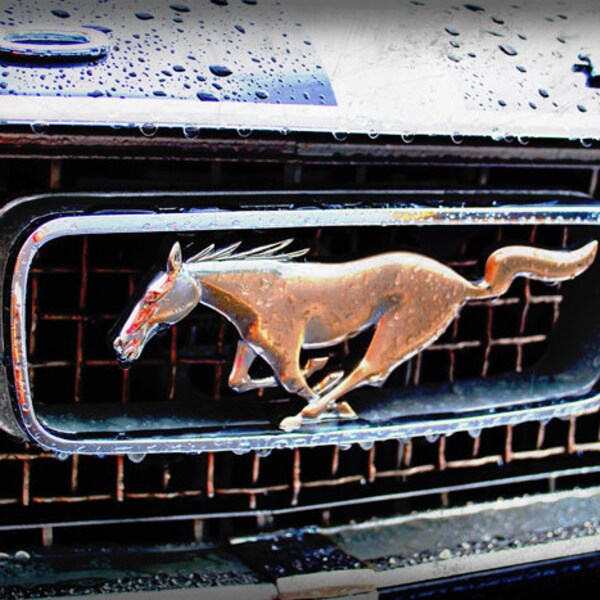 1966 Ford Mustang Pony Emblem - Classic Car - Garage Art - Pop Art - Fine Art Photograph