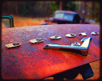 Automotive Art - Desmond's Rear Emblem - Rusty Car - Car Emblem - Chrysler Desoto - Fine Art Photograph by Kelly Warren