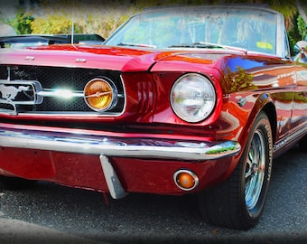 1964 1/2 Ford Mustang - Classic Car - Garage Art - Pop Art - Fine Art Photograph by Kelly Warren