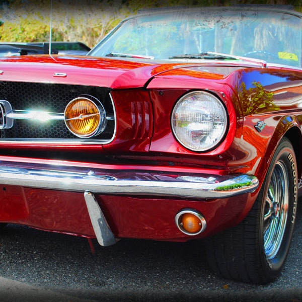 1964 1/2 Ford Mustang - Classic Car - Garage Art - Pop Art - Fine Art Photograph by Kelly Warren