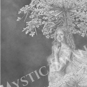 Fantasy Giclee Print, &quot;Parasol&quot; Faerie and Queen Anne&#39;s Lace Drawing