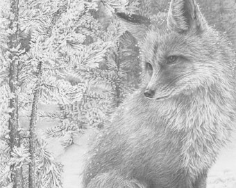 Fox Drawing "Huntress", Wildlife Animal Prints, Fine Art Graphite Drawings