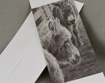 Framable Notecards, Donkey Drawing "Twilight Promenade", Farm Animal Prints, Fine Art Graphite Drawings,