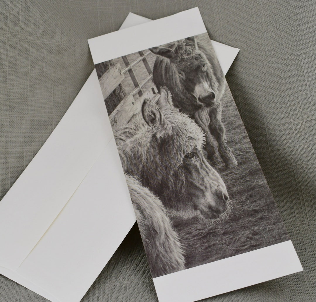Framable Notecards, Donkey Drawing 