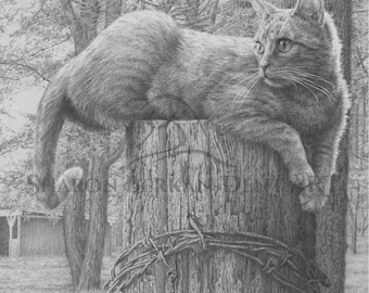 Cat Drawing "Poised Surveillance", Farm Animal Prints, Fine Art Graphite Drawings, Framable Notecards
