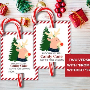 Printable Christmas Candy Cane Holder Gift Tags, Candy Cane Gram Tag ...