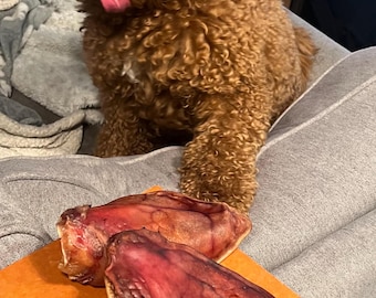 petiscos de orelha de porco para cachorro