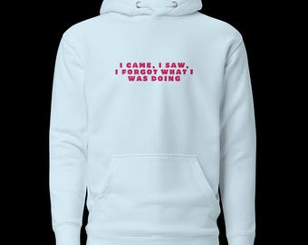 I Came, I Saw, I Forgot Hoodie, Funny Sarcastic Unisex Sweatshirt